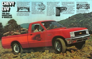 1981 Chevrolet LUV-04-05.jpg